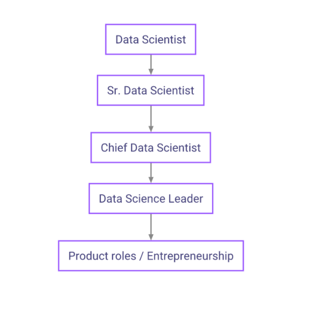 career path as a data scientist